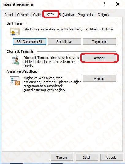 İnternet Explorer Kayıtlı Şifreleri Görüntüleme