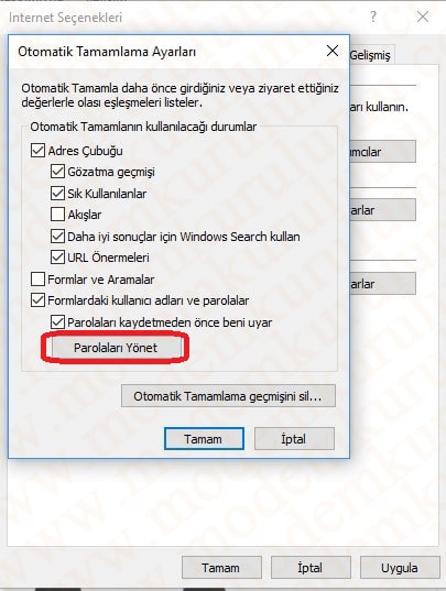 İnternet Explorer Kayıtlı Şifreleri Görüntüleme