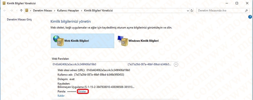 İnternet Explorer Kayıtlı Şifreleri Görüntüleme